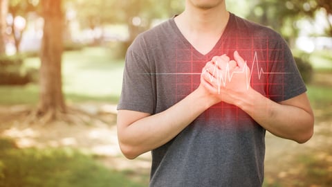Heart health and cardiovascular wellness